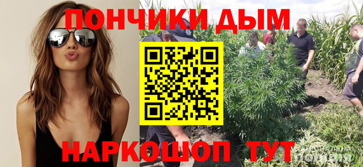 Шишки марихуана Ganja  Вход с VPN  Кандалакша  Шишки марихуана SATIVA & INDICA  МАРИХУАНА OG Kush 